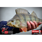 Nymfa REDBASS Nr. 1 L - 80 mm - balení 5 ks