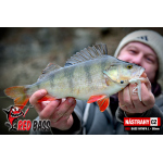 Nymfa REDBASS Nr. 1 L - 80 mm - balení 5 ks