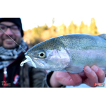 Nymfa REDBASS Nr. 1 S - 53 mm - 1 ks