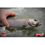 Nymfa REDBASS Nr. 1 S - 53 mm - 1 ks