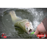 Nymfa REDBASS Nr. 1 S - 53 mm - 1 ks