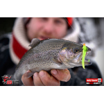 Nymfa REDBASS Nr. 1 S - 53 mm - 1 ks