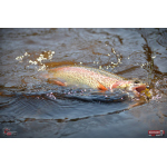 Nymfa REDBASS Nr. 1 S - 53 mm - 1 ks