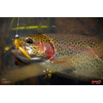 Nymfa REDBASS Nr. 1 S - 53 mm - 1 ks