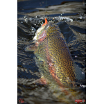 Nymfa REDBASS Nr. 1 S - 53 mm - 1 ks