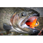 Nymfa REDBASS Nr. 1 S - 53 mm - 1 ks