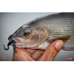 Nymfa REDBASS Nr. 1 S - 53 mm - 1 ks