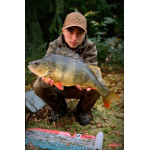 Nymfa REDBASS Nr. 1 S - 53 mm - 1 ks