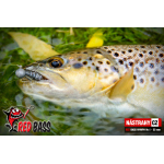 Nymfa REDBASS Nr. 1 S - 53 mm - 1 ks
