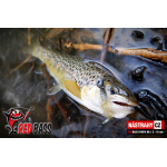 Nymfa REDBASS Nr. 1 S - 53 mm - 1 ks