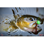 Nymfa REDBASS Nr. 1 S - 53 mm - 1 ks