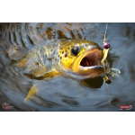 Nymfa REDBASS Nr. 1 S - 53 mm - 1 ks