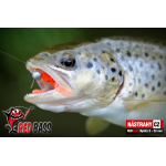 Nymfa REDBASS Nr. 1 S - 53 mm - 1 ks