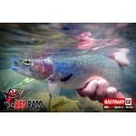 Nymfa REDBASS Nr. 1 S - 53 mm - 1 ks