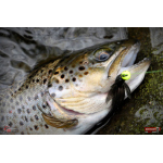 Nymfa REDBASS Nr. 1 S - 53 mm - 1 ks