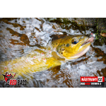 Nymfa REDBASS Nr. 1 S - 53 mm - 1 ks