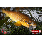Nymfa REDBASS Nr. 1 S - 53 mm - 1 ks