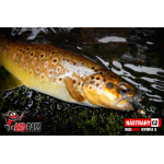 Nymfa REDBASS Nr. 1 S - 53 mm - 1 ks