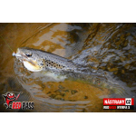 Nymfa REDBASS Nr. 1 S - 53 mm - 1 ks