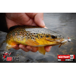 Nymfa REDBASS Nr. 1 S - 53 mm - 1 ks
