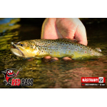 Nymfa REDBASS Nr. 1 S - 53 mm - 1 ks