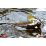 Nymfa REDBASS Nr. 1 S - 53 mm - 1 ks