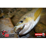 Nymfa REDBASS Nr. 1 S - 53 mm - 1 ks