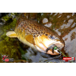 Nymfa REDBASS Nr. 1 S - 53 mm - 1 ks