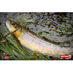 Nymfa REDBASS Nr. 1 S - 53 mm - 1 ks