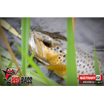Nymfa REDBASS Nr. 1 S - 53 mm - 1 ks