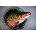 Nymfa REDBASS Nr. 1 S - 53 mm - 1 ks