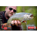 Nymfa REDBASS Nr. 1 S - 53 mm - 1 ks