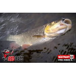 Nymfa REDBASS Nr. 1 S - 53 mm - 1 ks