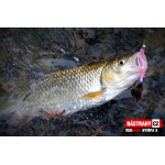 Nymfa REDBASS Nr. 1 S - 53 mm - 1 ks