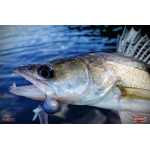 Nymfa REDBASS Nr. 1 X - 100 mm - 1 ks
