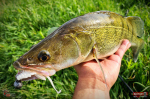 Nymfa REDBASS Nr. 1 X - 100 mm - balení 5 ks