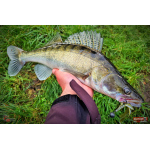 Nymfa REDBASS Nr. 1 X - 100 mm - balení 5 ks