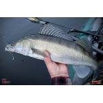 Nymfa REDBASS Nr. 1 X - 100 mm - balení 5 ks