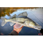 Nymfa REDBASS Nr. 1 X - 100 mm - balení 5 ks
