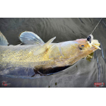 Nymfa REDBASS Nr. 1 X - 100 mm - balení 5 ks