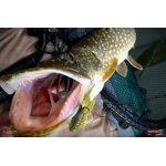 Nymfa REDBASS Nr. 1 X - 100 mm - 1 ks
