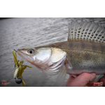 Nymfa REDBASS Nr. 1 XL - 130 mm - 1 ks