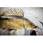 Nymfa REDBASS Nr. 1 XL - 130 mm - 1 ks