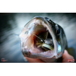 Nymfa REDBASS Nr. 1 XL - 130 mm - 1 ks