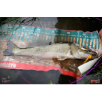 Nymfa REDBASS Nr. 1 XL - 130 mm - 1 ks