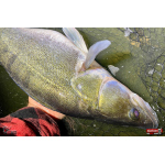 Nymfa REDBASS Nr. 1 XL - 130 mm - 1 ks