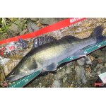 Nymfa REDBASS Nr. 1 XL - 130 mm - 1 ks