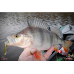 Nymfa REDBASS Nr. 1 XL - 130 mm - 1 ks