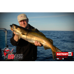 Velký smáček REDBASS SB