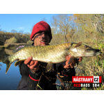 Ripper REDBASS PIKER - 120 mm